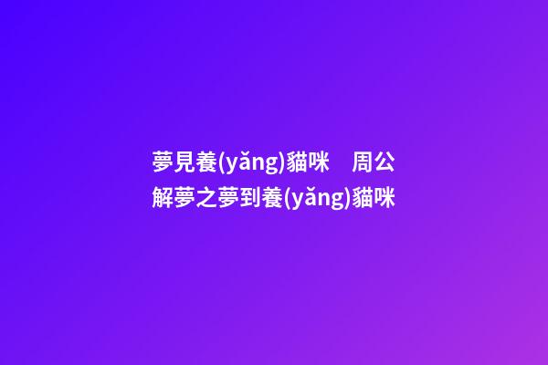 夢見養(yǎng)貓咪　周公解夢之夢到養(yǎng)貓咪
